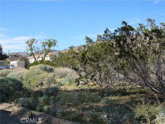 Detail Gallery Image 2 of 3 For 54294 Kelton, Whitewater,  CA 92282 - – Beds | – Baths