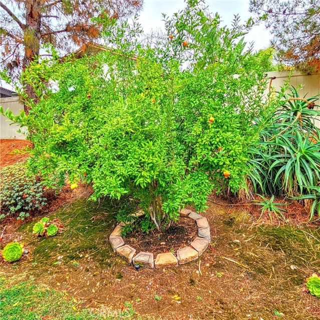 821 Atlantic Circle, Corona CA: https://media.crmls.org/medias/eca89b70-c03a-4673-8b5b-36ffab926f2e.jpg