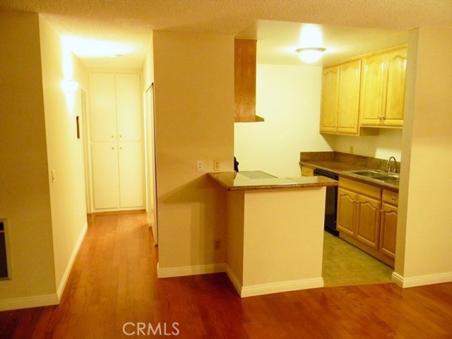 Kitchen Area and Hallway with Closet Storage