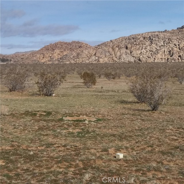 Front Image Thumbnail for CRSW26048955