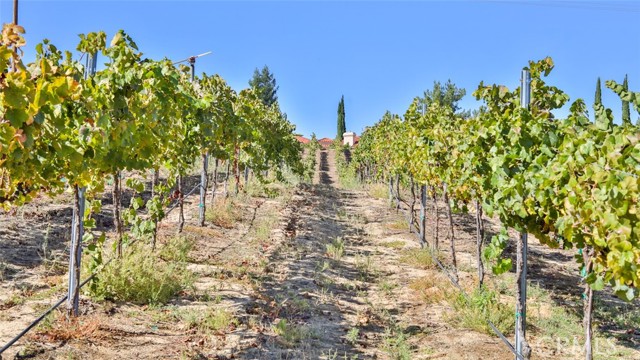 Detail Gallery Image 3 of 39 For 0 Valle Toscana Ct, Temecula,  CA 92592 - – Beds | – Baths