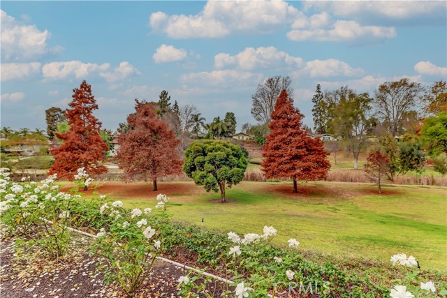 Detail Gallery Image 33 of 53 For 611 Avenida Sevilla #P,  Laguna Woods,  CA 92637 - 2 Beds | 2 Baths