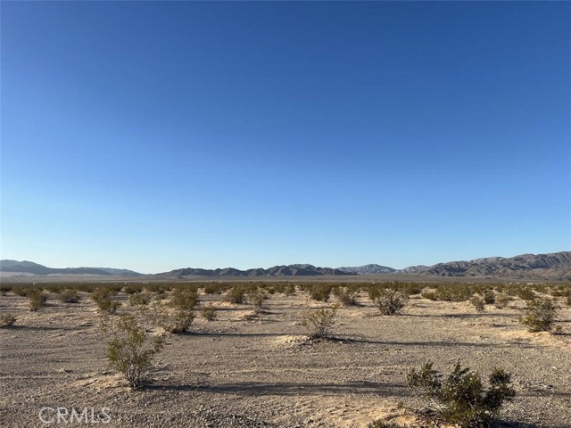 Front Image Thumbnail for CROC25279586