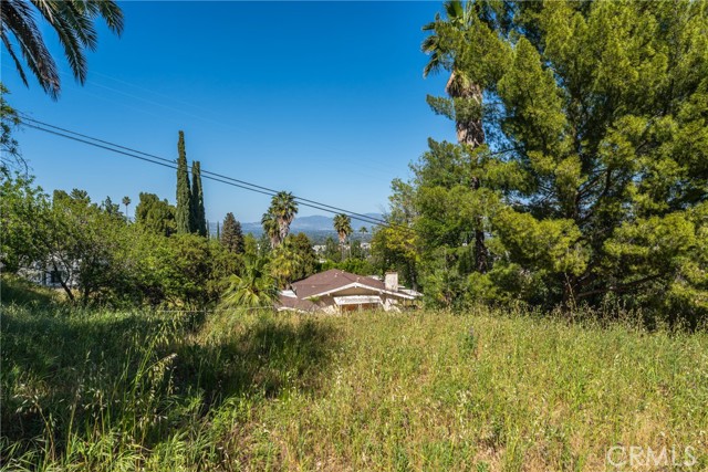 Front Image Thumbnail for CROC26051457