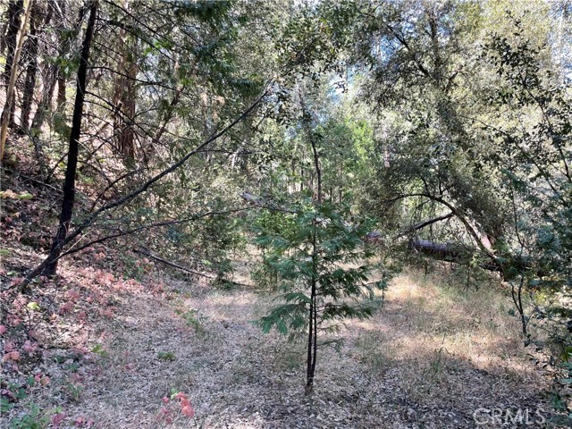 Detail Gallery Image 10 of 19 For 5693 Creel Rd, Mariposa,  CA 95338 - – Beds | – Baths