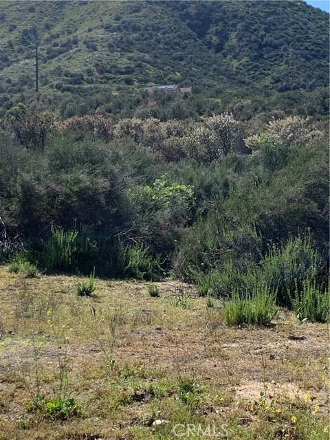 Detail Gallery Image 4 of 11 For 0 Vacant Land, Wildomar,  CA 92584 - – Beds | – Baths