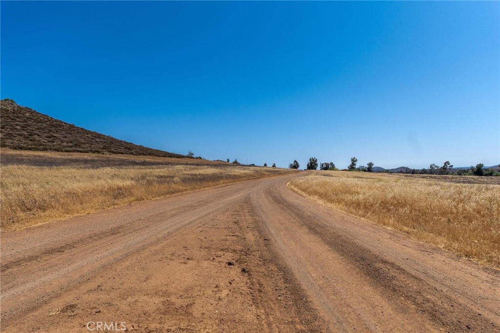 MLS #SW25182858 image #5