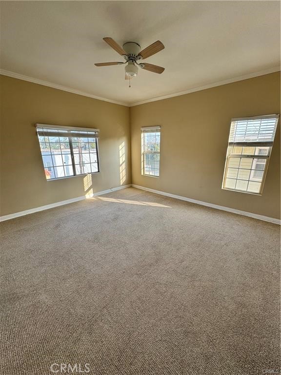 Detail Gallery Image 56 of 66 For 1046 S Citrus Ave, Los Angeles,  CA 90019 - 2 Beds | 1 Baths