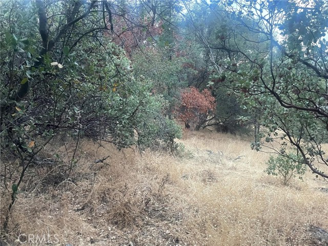 Detail Gallery Image 2 of 19 For 43020 Apache Ranch Rd, Ahwahnee,  CA 93601 - – Beds | – Baths