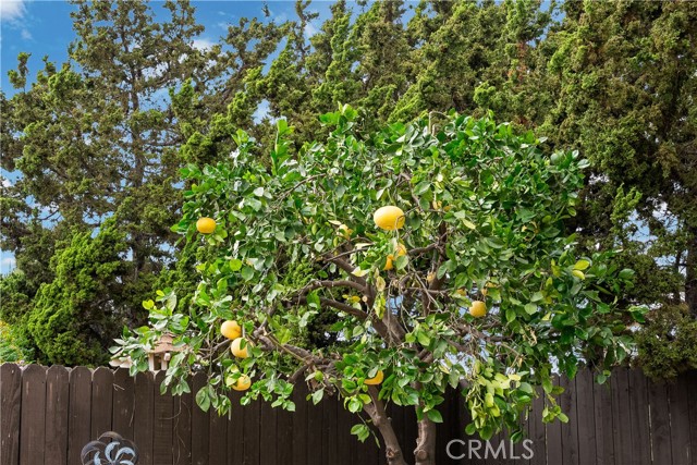 Image 31 of 34 For 19971 Fernglen