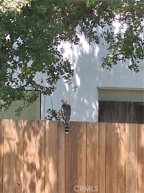 Detail Gallery Image 38 of 42 For 11944 Briarvale, Studio City,  CA 91604 - 5 Beds | 4 Baths