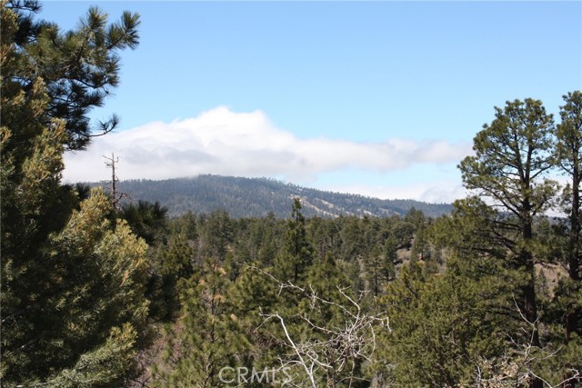 Detail Gallery Image 36 of 55 For 615 Kean Way, Big Bear City,  CA 92314 - – Beds | – Baths