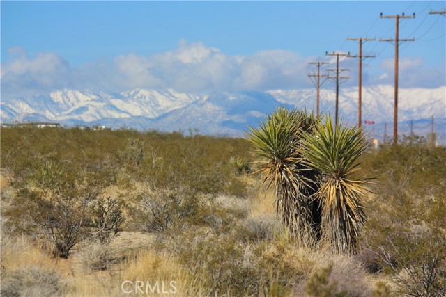 Detail Gallery Image 9 of 14 For 6400 Block Twentynine Palms Hwy, Twentynine Palms,  CA 92277 - – Beds | – Baths