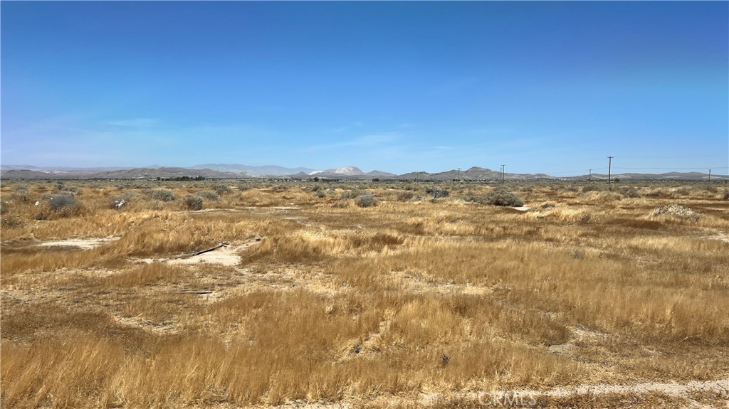 MLS #SR24128263 image #2