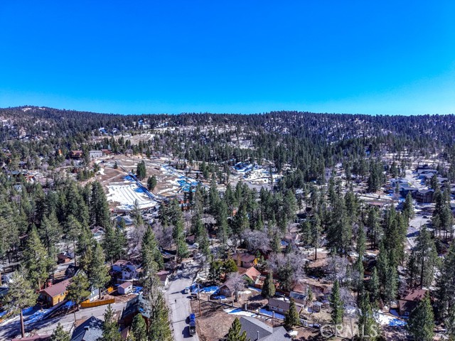 Detail Gallery Image 51 of 57 For 672 Talmadge, Big Bear Lake,  CA 92315 - 3 Beds | 2/1 Baths