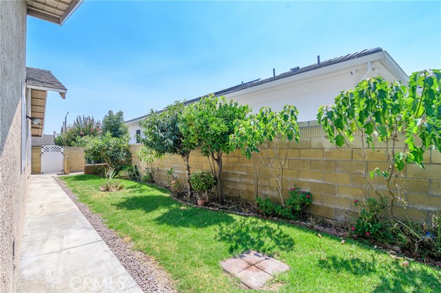 Backyard with lots of mature fruit trees