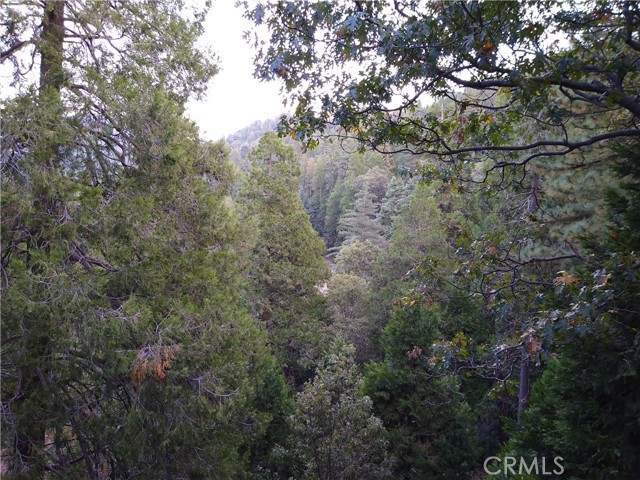 24672 Bernard Drive, Crestline, CA 92325