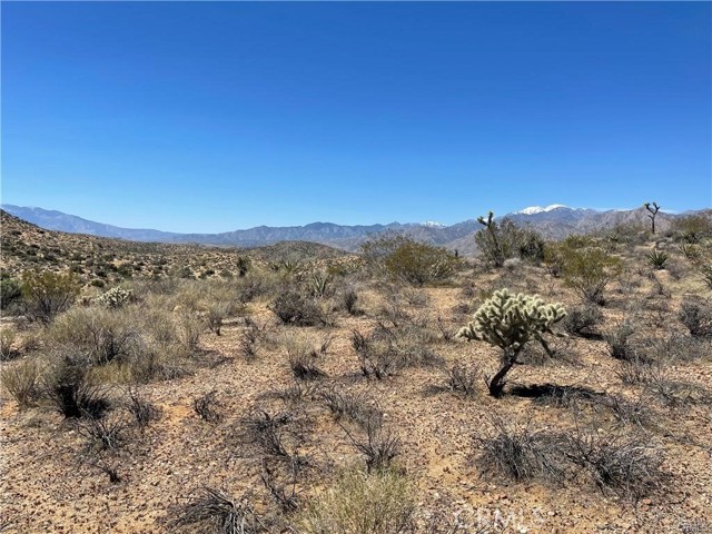 Detail Gallery Image 6 of 13 For 54589 Hoopa Trail, Yucca Valley,  CA 92284 - – Beds | – Baths