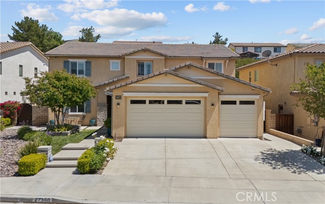 27360 Rose Mallow