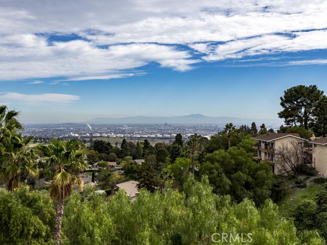 53 Cayuse Lane, Rancho Palos Verdes, California 90275, 3 Bedrooms Bedrooms, ,2 BathroomsBathrooms,Residential,Sold,Cayuse,SB16033362