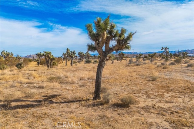 Detail Gallery Image 40 of 43 For 56665 Paseo Los Ninos, Yucca Valley,  CA 92284 - 0 Beds | 1 Baths