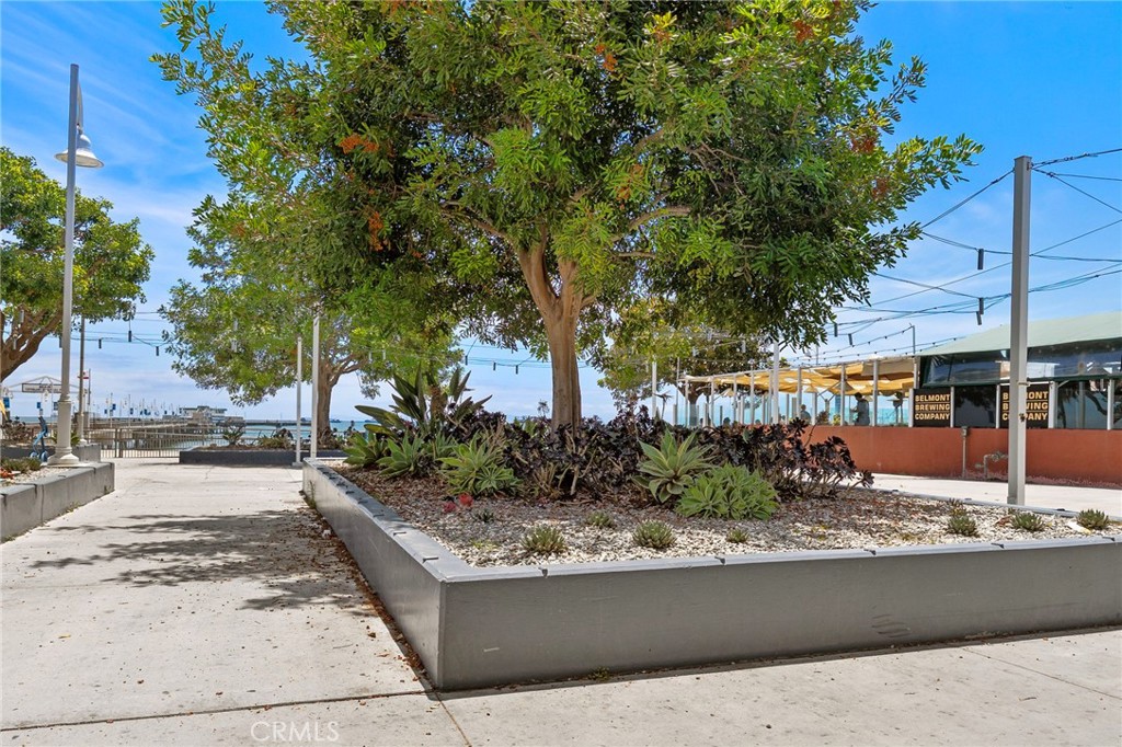 https://media.crmls.org/medias/ecf73f83-b74c-4a36-80dc-6e7a276b2396.jpg?preset=X-Large