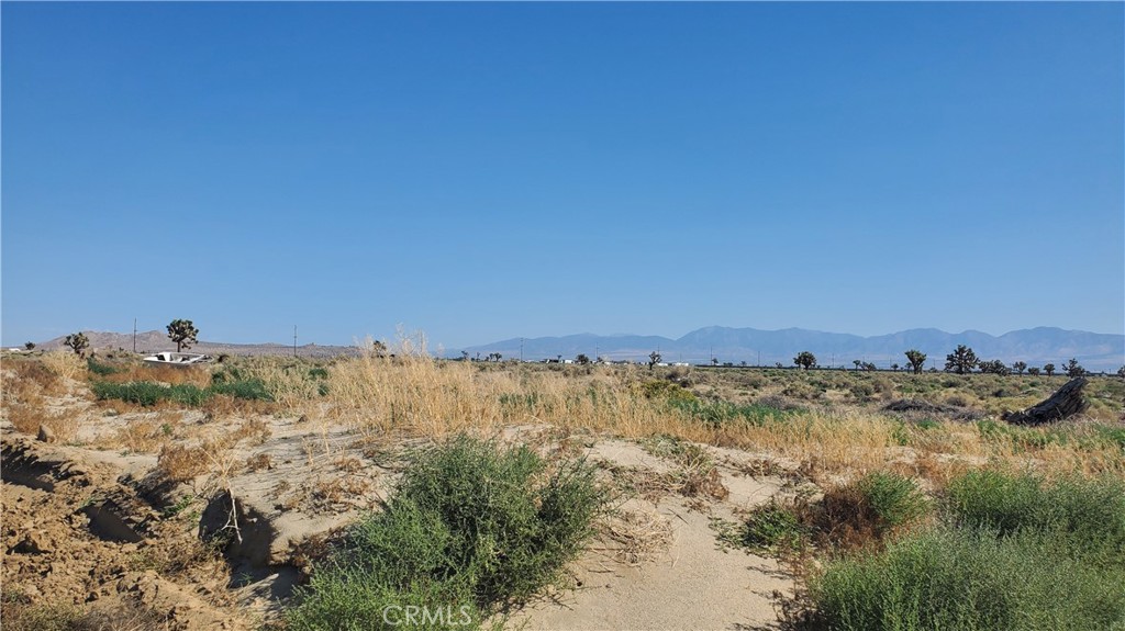 MLS #SR23171026 image #6