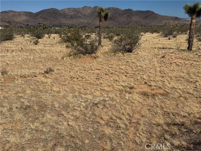 Detail Gallery Image 13 of 32 For 0 Japatul Rd, Apple Valley,  CA 92307 - – Beds | – Baths