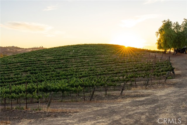1825 Nygren Road, San Miguel CA: https://media.crmls.org/medias/ed036524-70b9-483b-87ee-43e0d0e44e8e.jpg