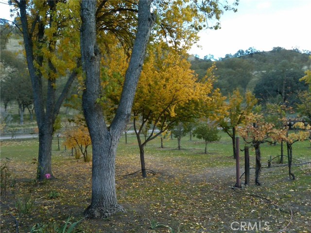 Detail Gallery Image 23 of 52 For 3470 Ranchita Cyn Rd, San Miguel,  CA 93451 - – Beds | – Baths