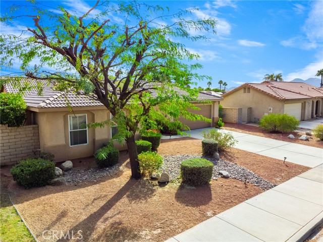 Detail Gallery Image 47 of 49 For 37736 Colebridge St, Palm Desert,  CA 92211 - 4 Beds | 2 Baths