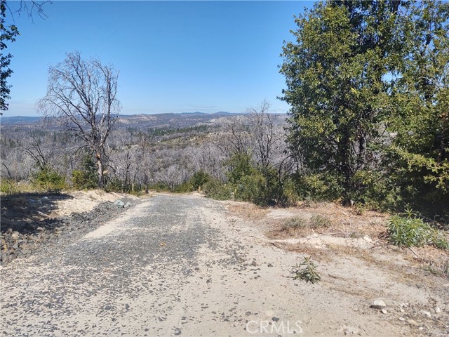 363 Raccoon Road, Berry Creek, California 95916, ,Land,For Sale,363 Raccoon Road,CROR24029245