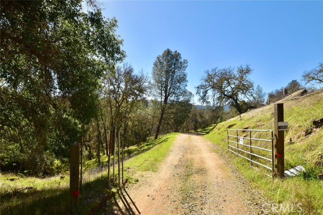 Detail Gallery Image 7 of 40 For 74980 Copperhead Rd, Bradley,  CA 93426 - – Beds | – Baths