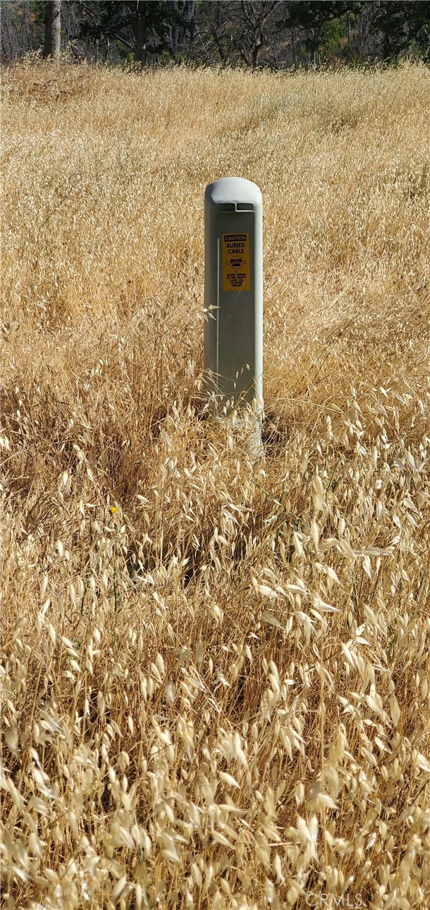 Detail Gallery Image 10 of 11 For 15687 Stagecoach, Corning,  CA 96021 - – Beds | – Baths