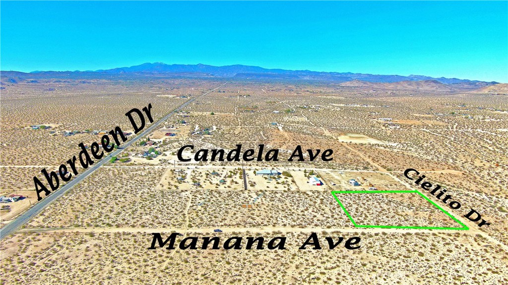 MLS #JT25255636 image #4