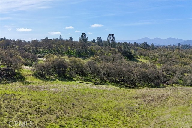 Detail Gallery Image 4 of 16 For 76310 Bryson Hesperia Rd, Bradley,  CA 93426 - – Beds | – Baths