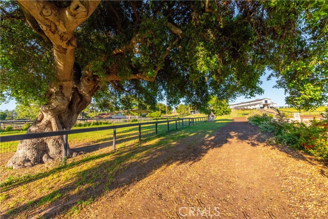 Detail Gallery Image 26 of 60 For 1977 W San Marcos Pass Rd, Santa Ynez,  CA 93460 - – Beds | – Baths