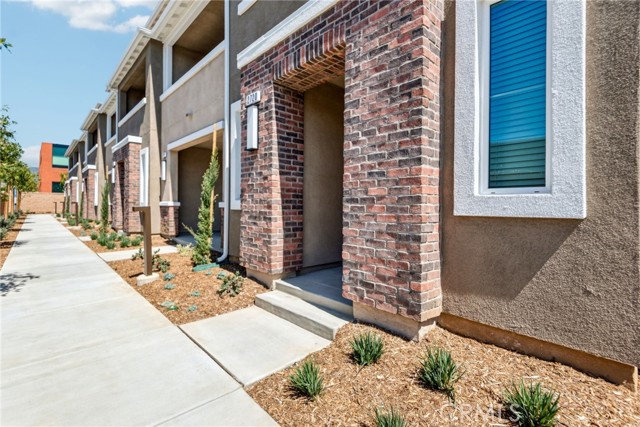 Front Image Thumbnail for CROC26082839