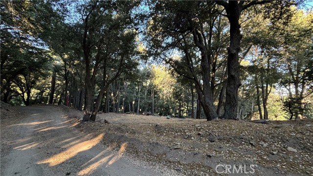 Detail Gallery Image 2 of 13 For 722 Mojave River Rd, Cedarpines Park,  CA 92322 - – Beds | – Baths