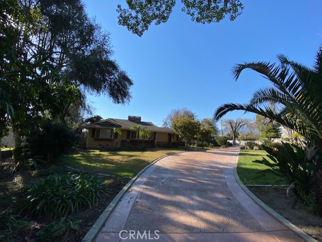 Front Image Thumbnail for CRTR26140887