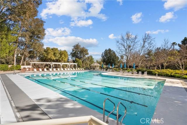 Image 39 of 43 For 26334 Emerald Dove