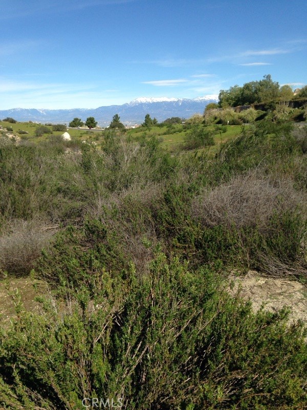 23685 Tapatia Road, Homeland CA: https://media.crmls.org/medias/ed2b2dc6-9694-41e2-ac85-67e8e9b0117e.jpg