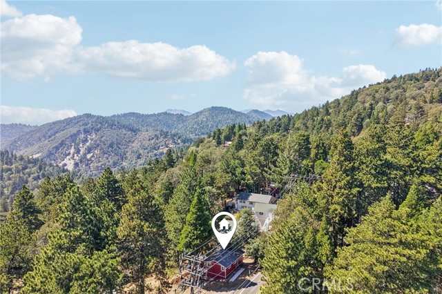 21461 Crest Forest, Cedarpines Park, CA 92322
