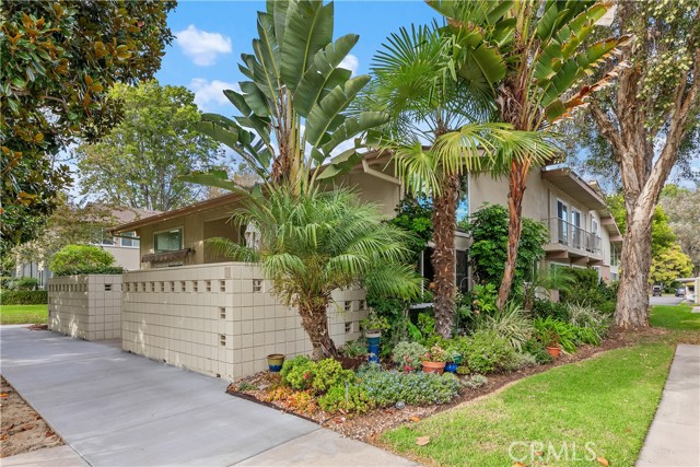 Front Image Thumbnail for CROC25261360