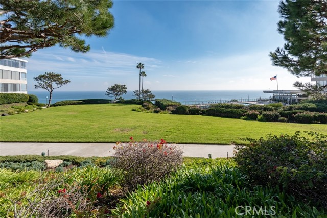 Extraordinary landscaped gardens in prime location on the Peninsula