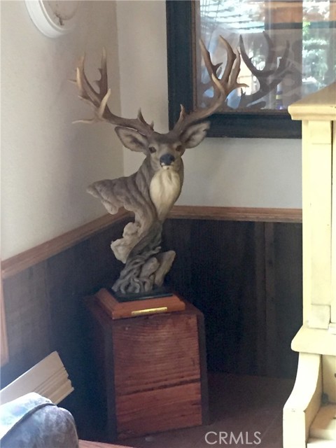 Detail Gallery Image 19 of 31 For 9112 Torrey Pines Rd, Forest Falls,  CA 92339 - 2 Beds | 2/1 Baths