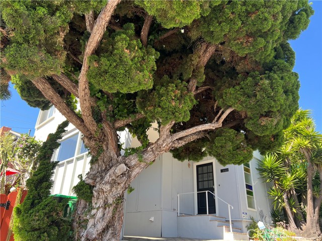 31501 Burnside Place, Laguna Beach CA: https://media.crmls.org/medias/ed36a03b-465f-4e34-a2cf-45f6060a9609.jpg