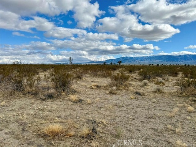 Detail Gallery Image 3 of 5 For 0 Dos Palmas Ave, Pinon Hills,  CA 92372 - – Beds | – Baths