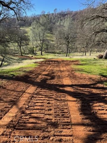 Detail Gallery Image 10 of 14 For 1484 Oregon Gulch Rd, Oroville,  CA 95965 - – Beds | – Baths