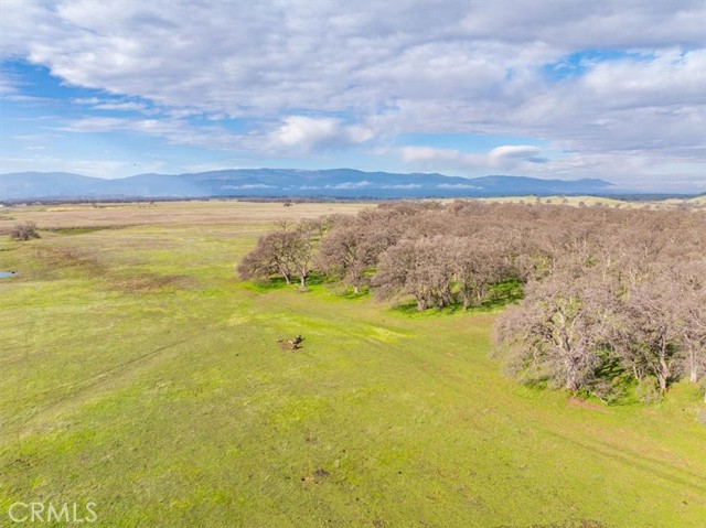 Detail Gallery Image 23 of 24 For 16620 Paskenta Rd, Flournoy,  CA 96029 - 2 Beds | 2 Baths